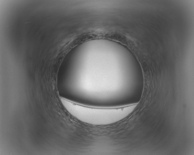 X0000062601253200512210901
