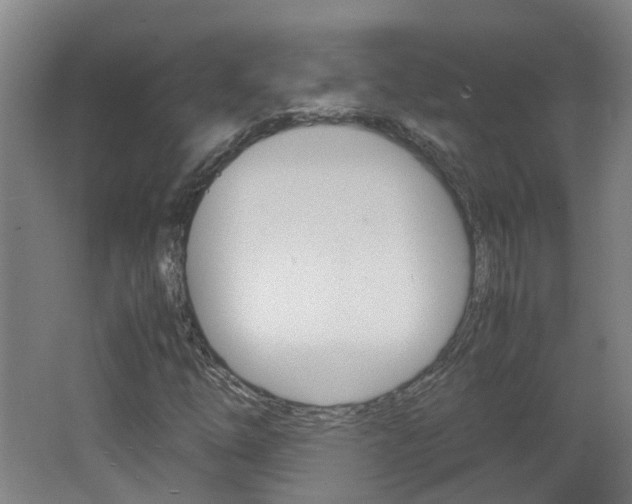 X0000062601254200512210901