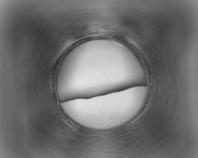 X0000062601259200512210901