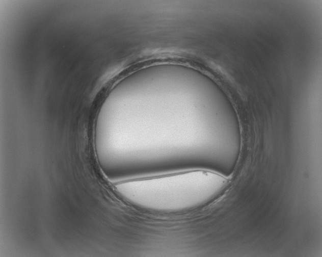 X0000062601261200512210901