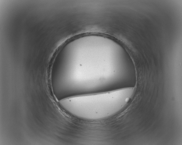 X0000062601264200512210901