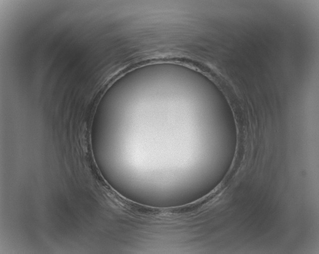 X0000062601265200512210901