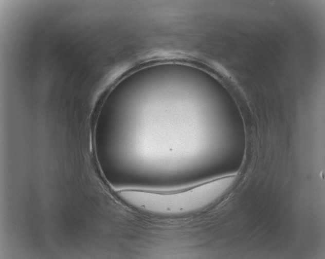 X0000062601269200512210901