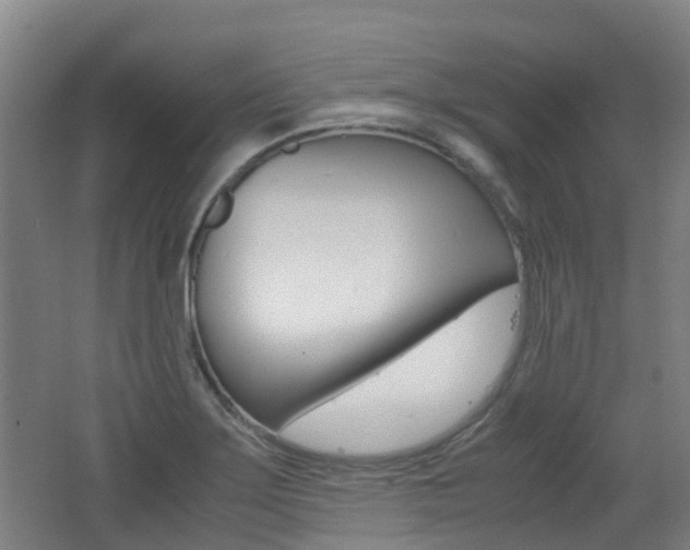 X0000062601275200512210901
