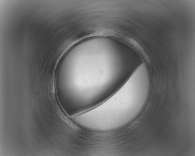 X0000062601276200512210901