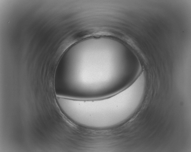 X0000062601281200512210900