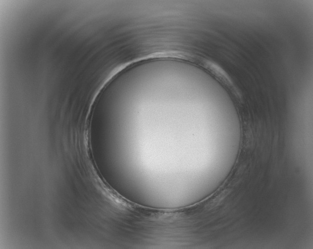 X0000062601284200512210900