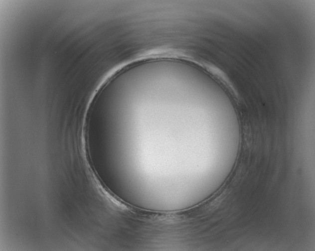 X0000062601288200512210900