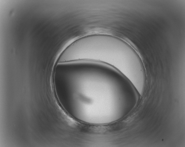 X0000062601293200512210900