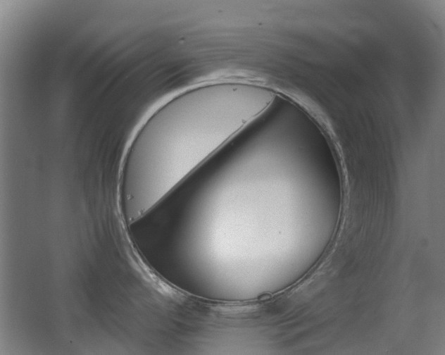 X0000062601296200512210900
