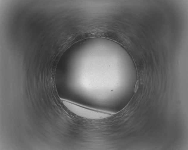 X0000062601298200512210859