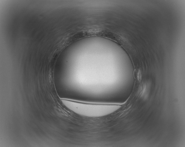 X0000062601299200512210859