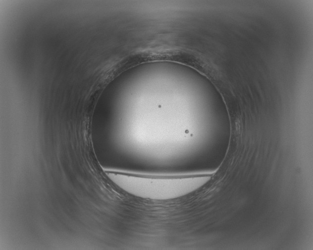 X0000062601300200512210859