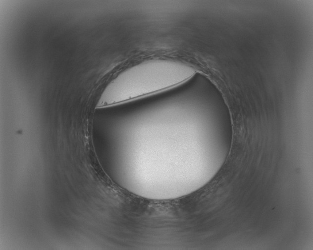 X0000062601301200512210859