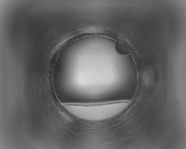 X0000062601304200512210859