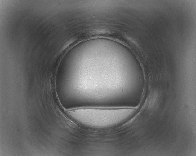 X0000062601305200512210900