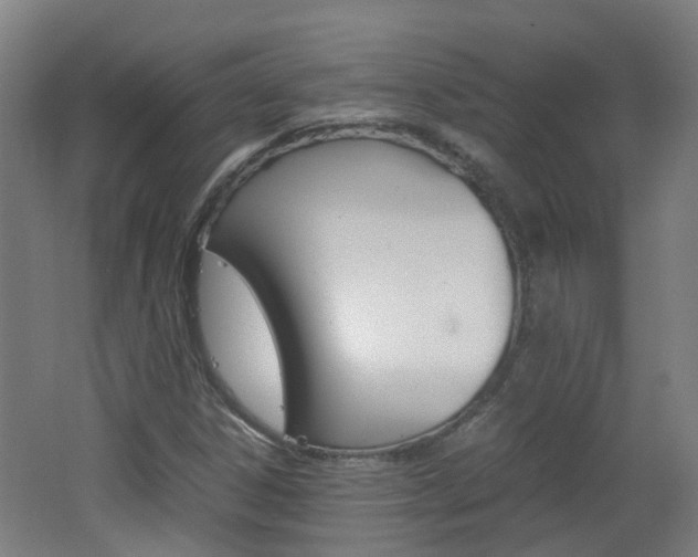 X0000062601306200512210900
