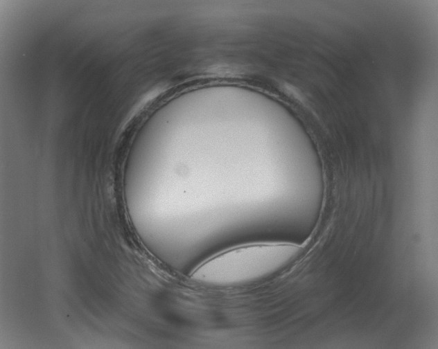 X0000062601307200512210900