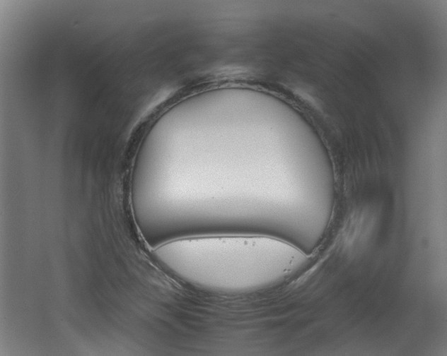X0000062601309200512210900