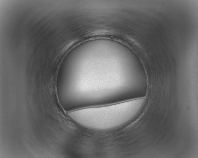 X0000062601313200512210900