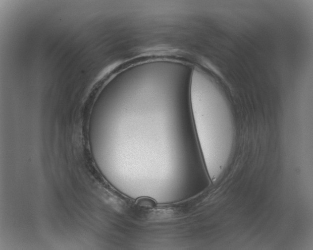 X0000062601315200512210900