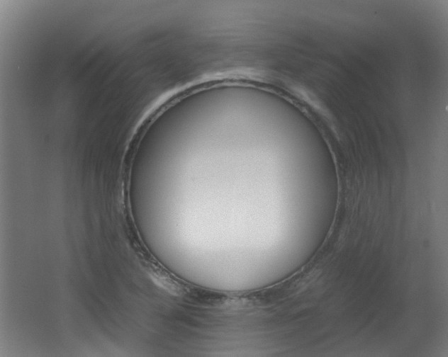 X0000062601316200512210900