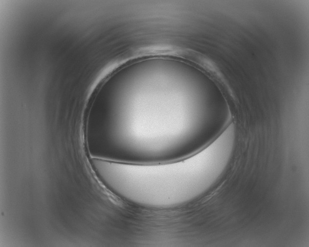 X0000062601328200512210900