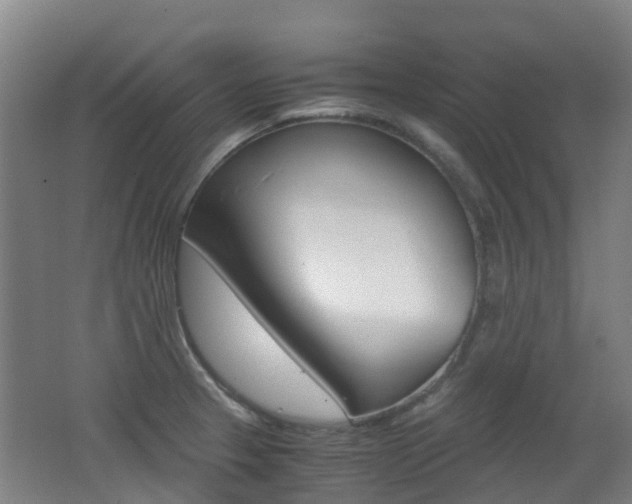 X0000062601329200512210900