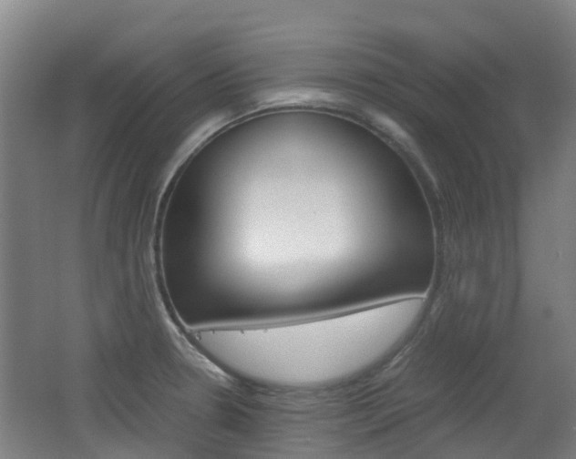 X0000062601330200512210900