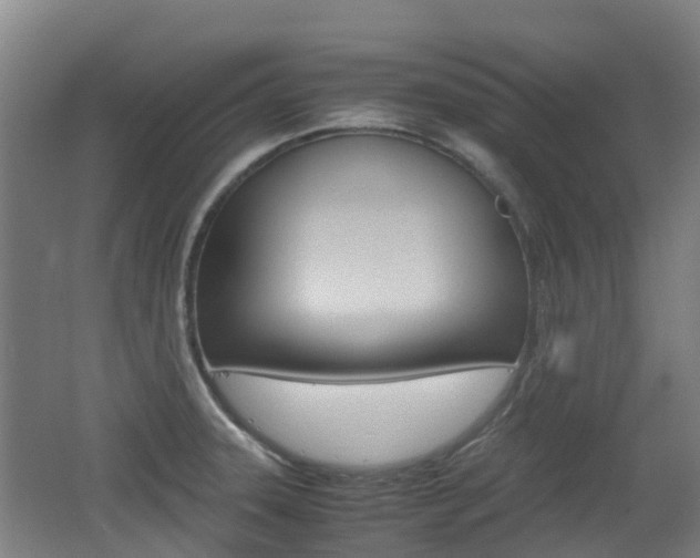 X0000062601331200512210900