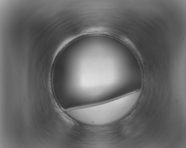 X0000062601336200512210900