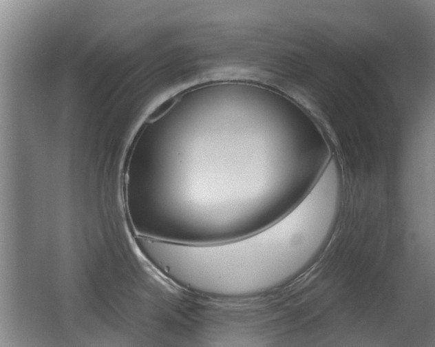 X0000062601342200512210900