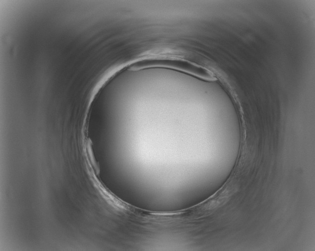 X0000062601344200512210900