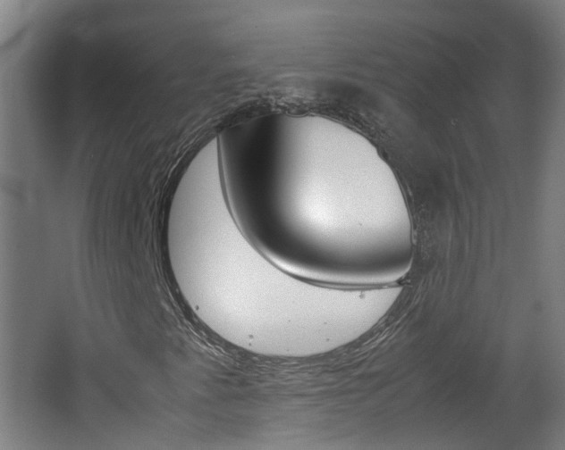 X0000062601345200512210859
