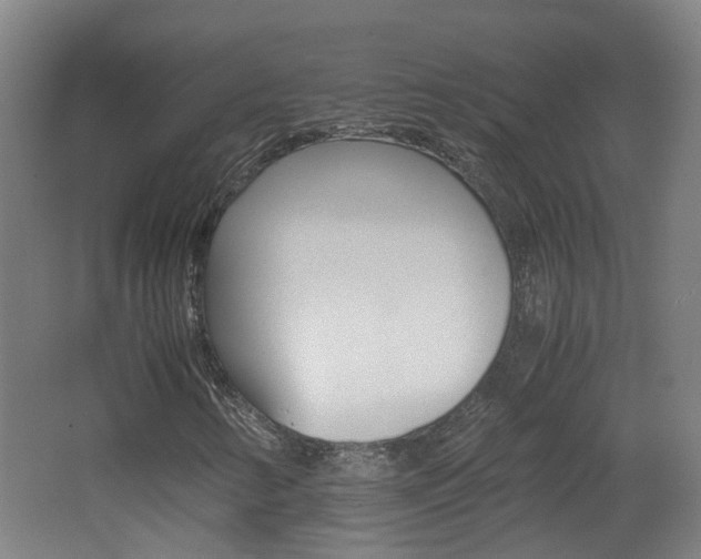 X0000062601346200512210859