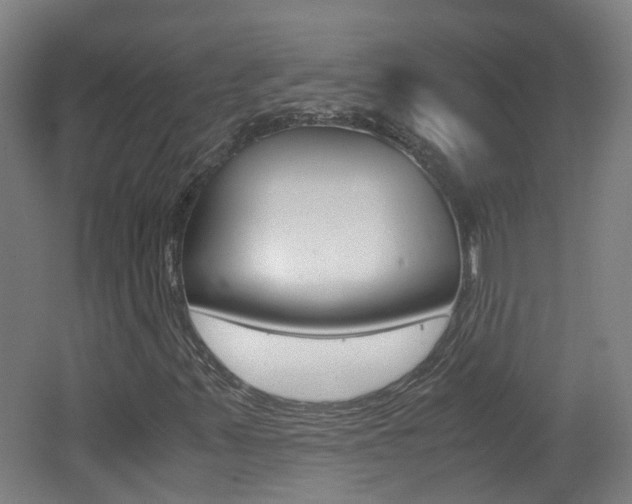 X0000062601347200512210859