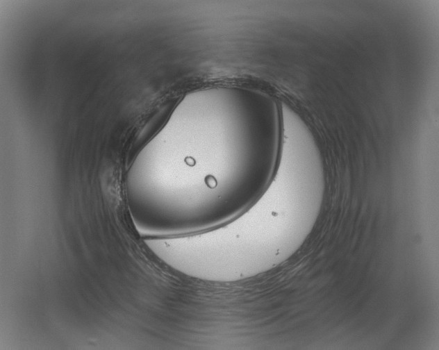 X0000062601348200512210859