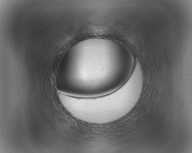 X0000062601349200512210859