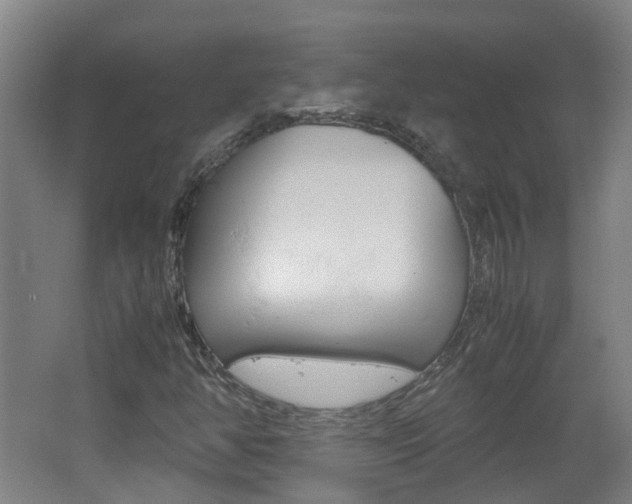 X0000062601350200512210859
