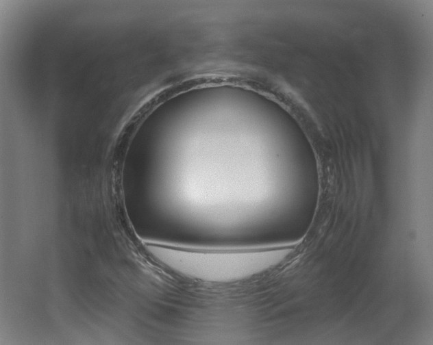 X0000062601352200512210859