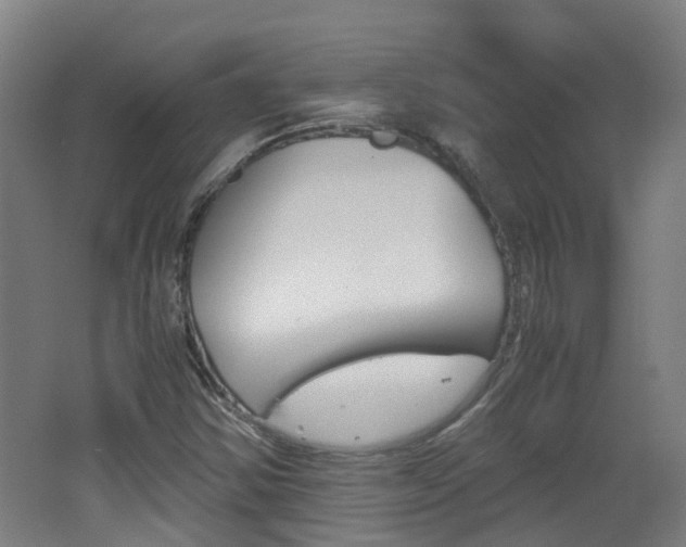 X0000062601354200512210859