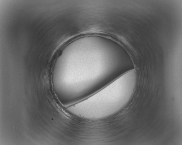 X0000062601356200512210859