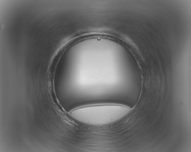 X0000062601360200512210859