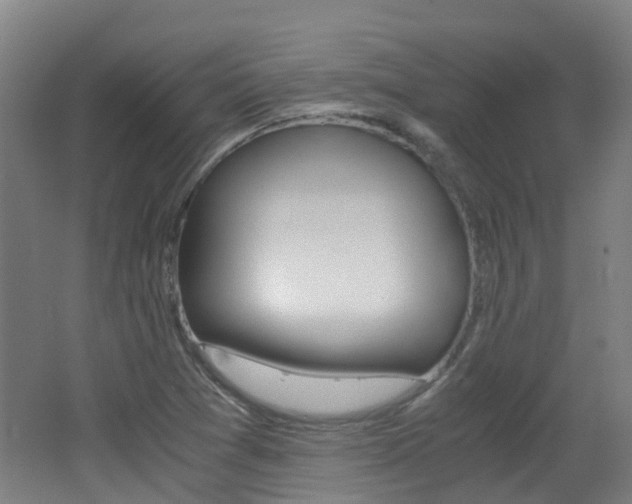 X0000062601361200512210859