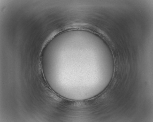 X0000062601362200512210859