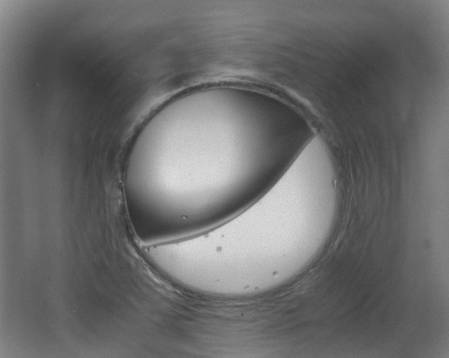 X0000062601363200512210859