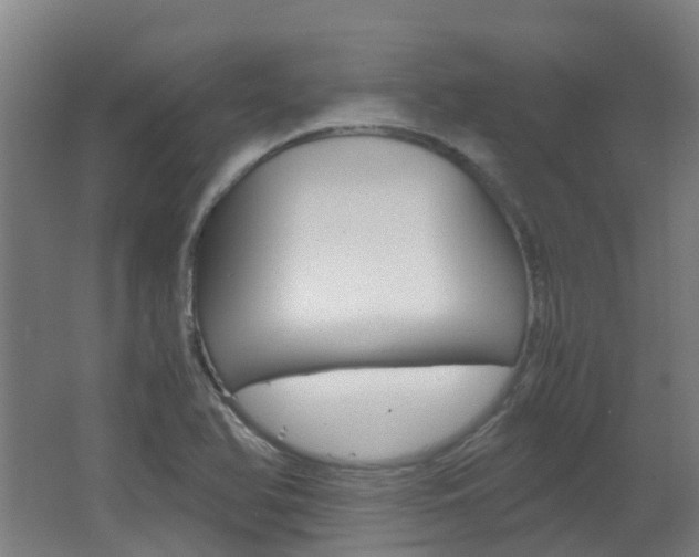 X0000062601366200512210859