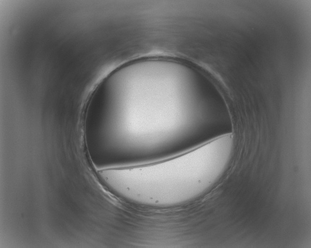 X0000062601367200512210859