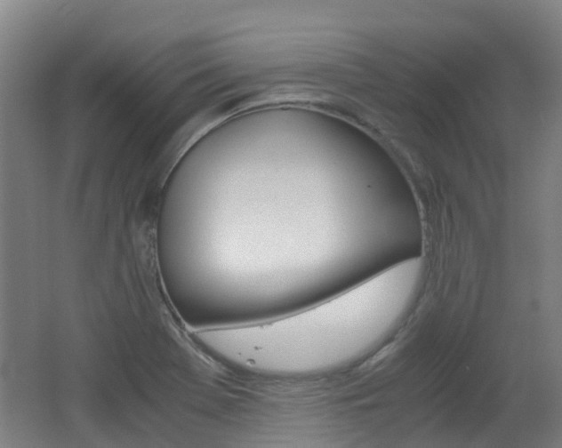 X0000062601369200512210859