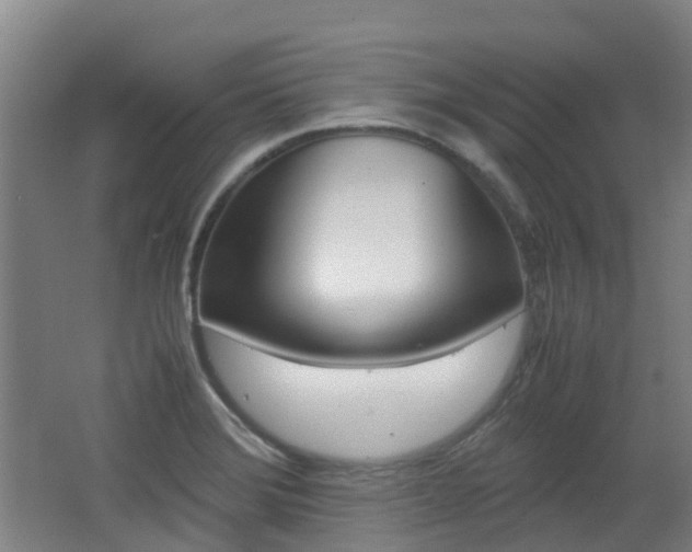 X0000062601372200512210859